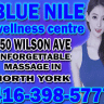 Blue Nile Wellness Center