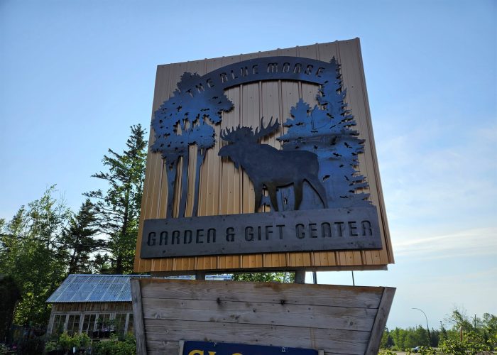 Blue-Moose-new-sign-scaled-e1686678766401.jpg