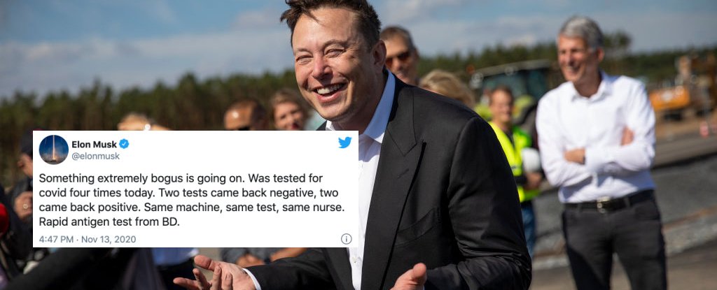 www.sciencealert.com